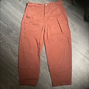 Everlane barrel pants of your dreams